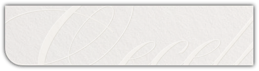 文件:时装主题 通用纹理 pnl ctc.png
