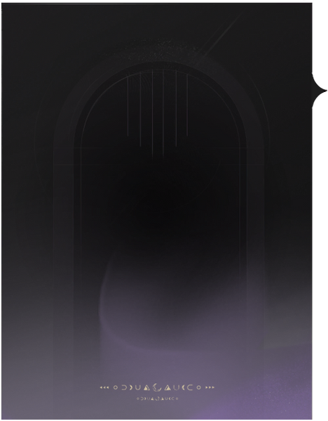 文件:道具详情 品质4背景.png