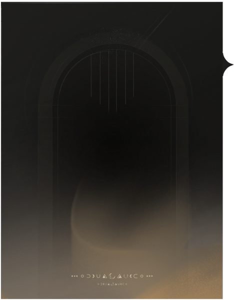 文件:道具详情 品质5背景.png