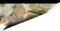 2026年6月7日 (日) 23:07版本的缩略图