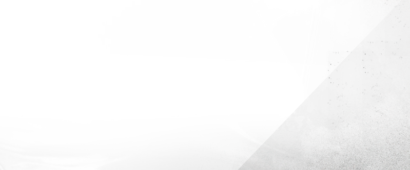 文件:角色档案 背景.png