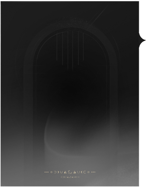 文件:道具详情 品质0背景.png